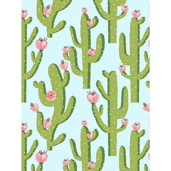 Photocircle Poster / Leinwandbild - Summer Cactus