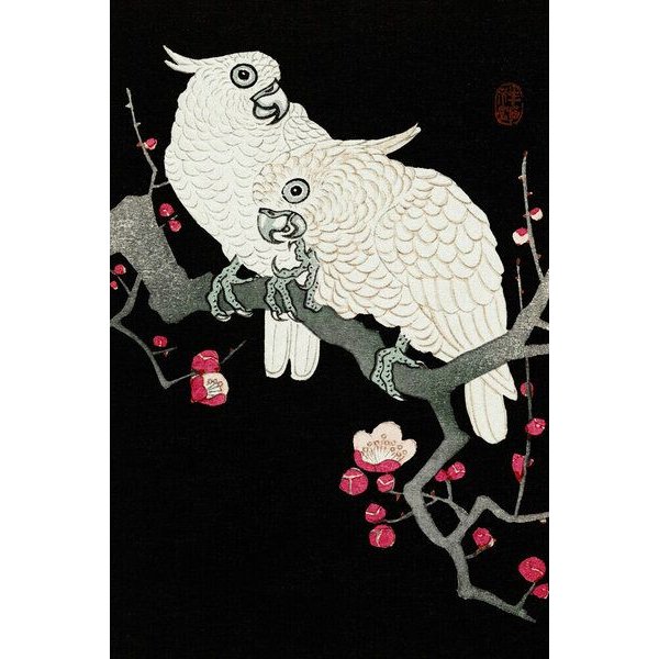 Photocircle Poster / Leinwandbild - Ohara Koson: Zwei Kakadus und Pflaumenblüte