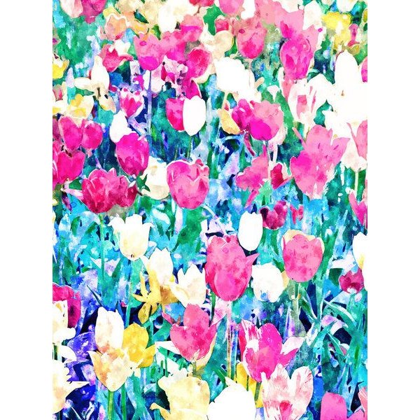 Photocircle Poster / Leinwandbild - Meadow in Bloom