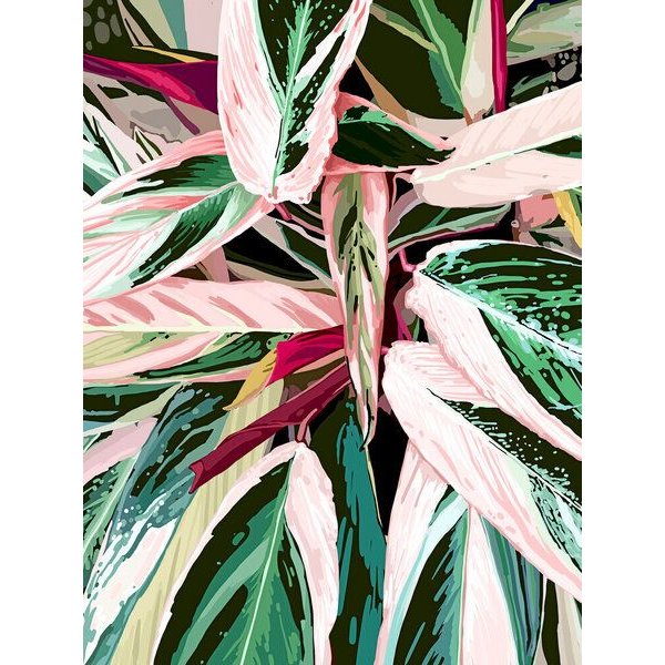 Photocircle Poster / Leinwandbild - Tropical Variegated Houseplant
