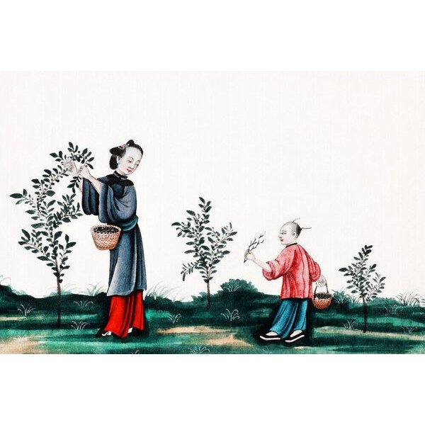 Photocircle Poster / Leinwandbild - Chinesische Malerei mit Mutter und Sohn, die Teesprossen pflücken
