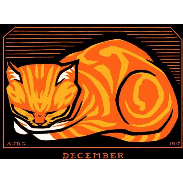Photocircle Poster / Leinwandbild - December Cat