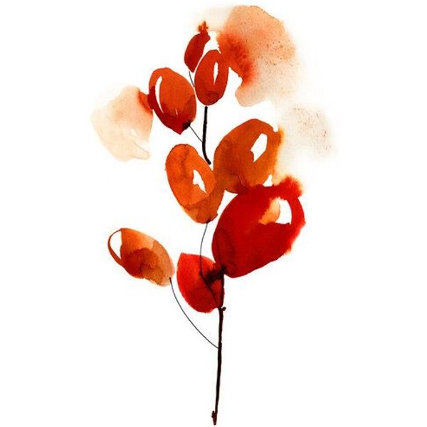 Photocircle Poster / Leinwandbild - Cherries