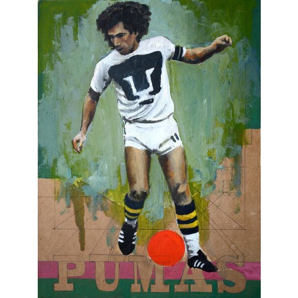 Photocircle Poster / Leinwandbild - One Love Pumas