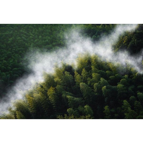 Photocircle Poster / Leinwandbild - Misty Mountain Hop (pt. II)