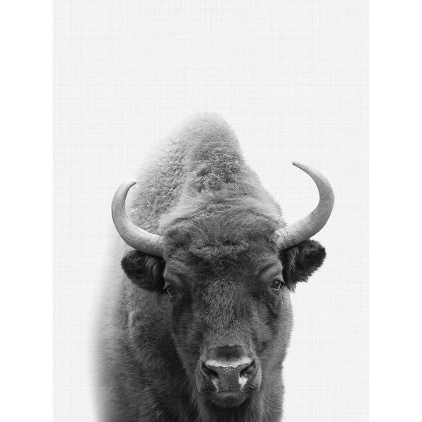 Photocircle Poster / Leinwandbild - Bison