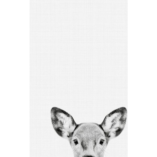 Photocircle Poster / Leinwandbild - Doe (Black and White)
