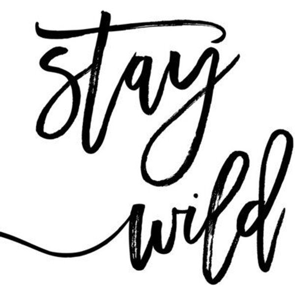 Photocircle Poster / Leinwandbild - Stay Wild
