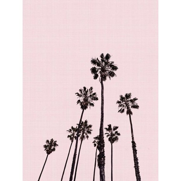 Photocircle Poster / Leinwandbild - Palm Trees in Pink