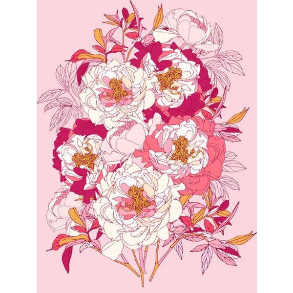 Photocircle Poster / Leinwandbild - Pink flowers of peonies