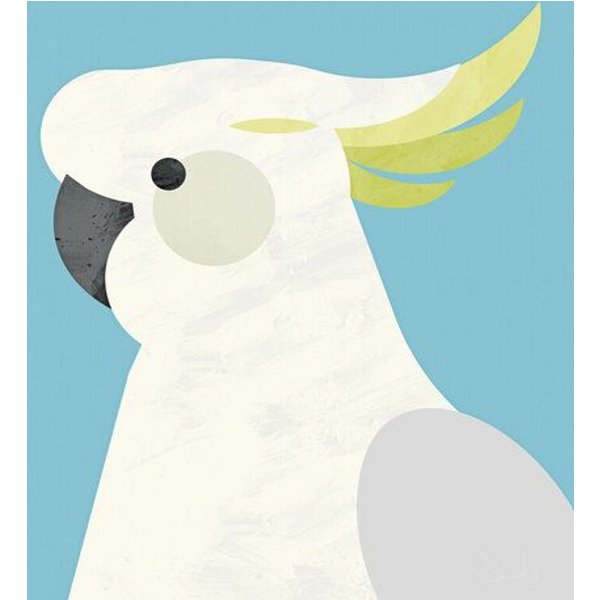 Photocircle Poster / Leinwandbild - Parrot
