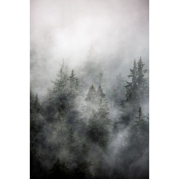 Photocircle Poster / Leinwandbild - Foggy Morning 1