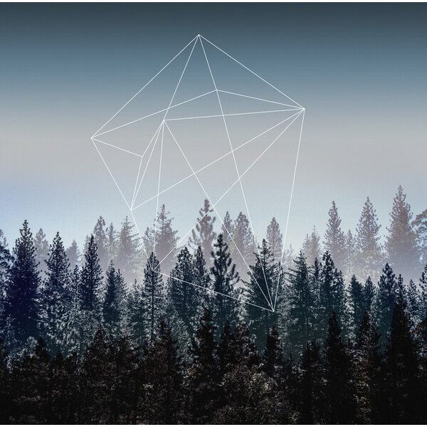 Photocircle Poster / Leinwandbild - Woods