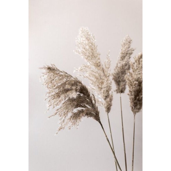 Photocircle Poster / Leinwandbild - Grass 24X