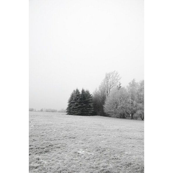 Photocircle Poster / Leinwandbild - Winter Wonderland