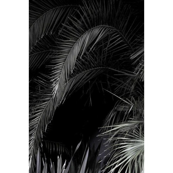 Photocircle Poster / Leinwandbild - Tropical Garden 1/5