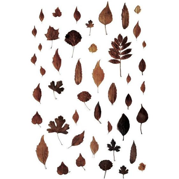 Photocircle Poster / Leinwandbild - Signs of Autumn