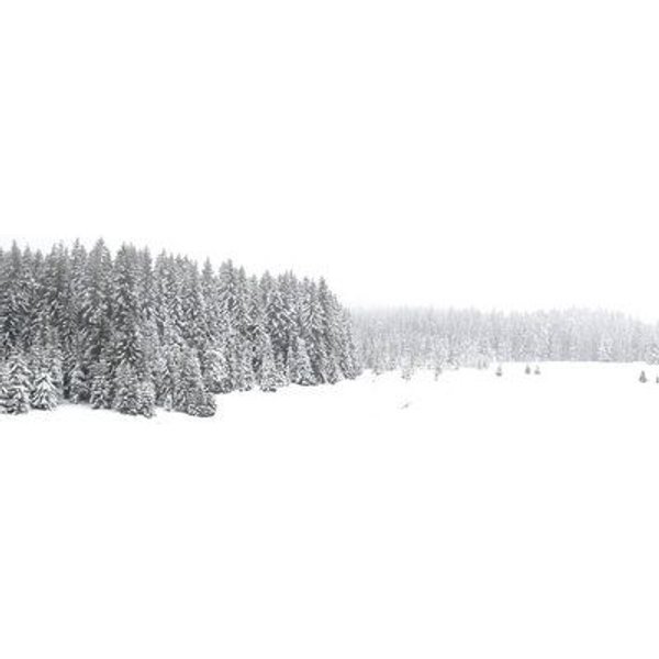 Photocircle Poster / Leinwandbild - White White Winter 1/2