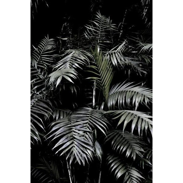 Photocircle Poster / Leinwandbild - Tropical Garden 3/5