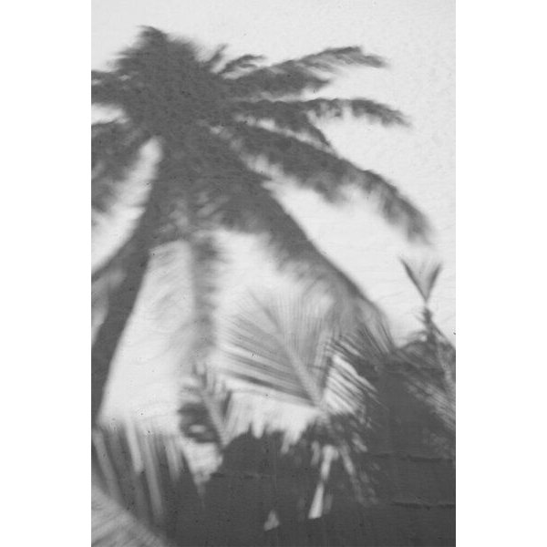 Photocircle Poster / Leinwandbild - Palms on the Beach