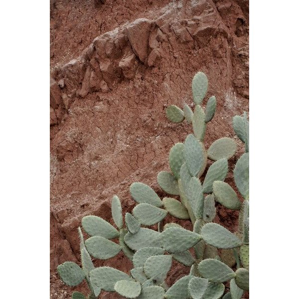 Photocircle Poster / Leinwandbild - Desert Mood