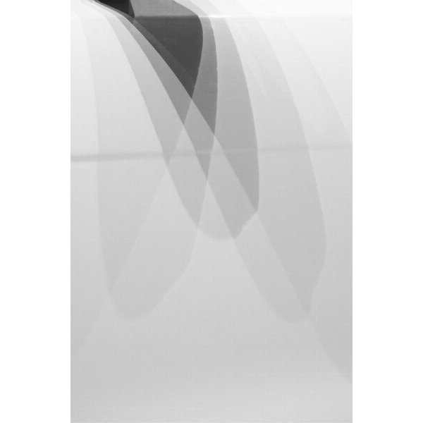 Photocircle Poster / Leinwandbild - Beauty is in the details
