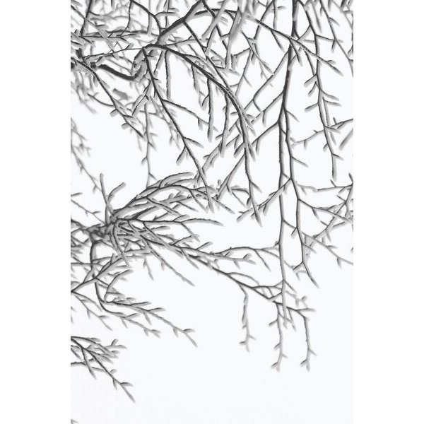 Photocircle Poster / Leinwandbild - Snowy Days