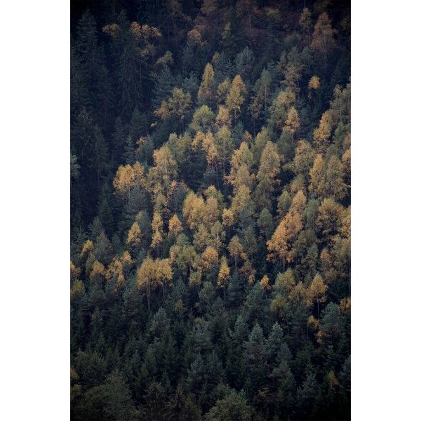 Photocircle Poster / Leinwandbild - Autumn in all its beauty