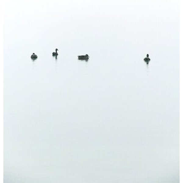 Photocircle Poster / Leinwandbild - Floating Between Fog and Sea