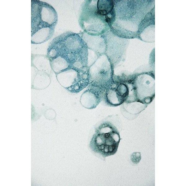 Photocircle Poster / Leinwandbild - Aquarelle Bubbles - Blue