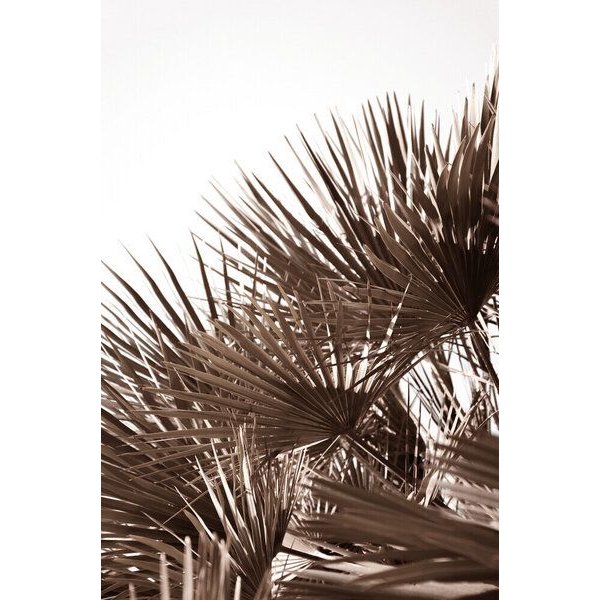 Photocircle Poster / Leinwandbild - gorgeous golden palm leafes