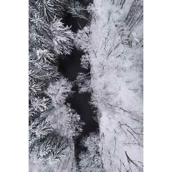 Photocircle Poster / Leinwandbild - black river through the snowy winter forest