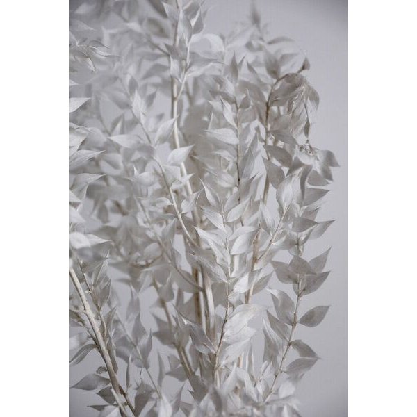 Photocircle Poster / Leinwandbild - WHITE sunny leafs