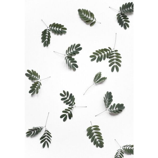 Photocircle Poster / Leinwandbild - The beauty of mother nature