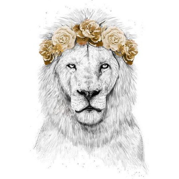 Photocircle Poster / Leinwandbild - Festival lion