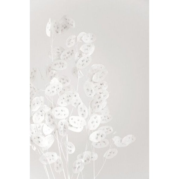 Photocircle Poster / Leinwandbild - white CONFETTI flowers