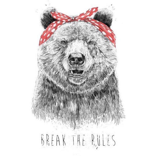 Photocircle Poster / Leinwandbild - Break the rules
