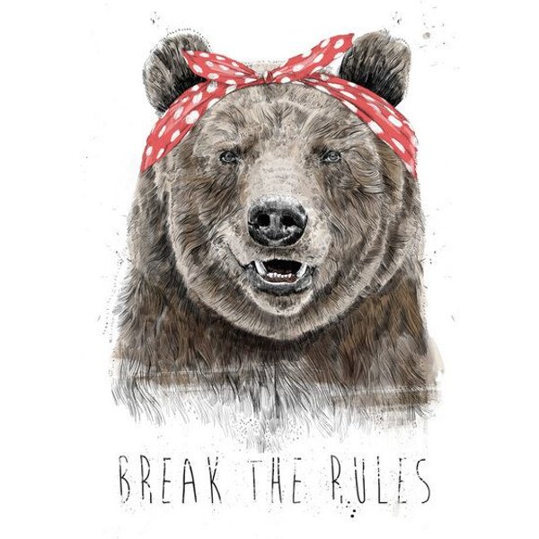 Photocircle Poster / Leinwandbild - Break the rules