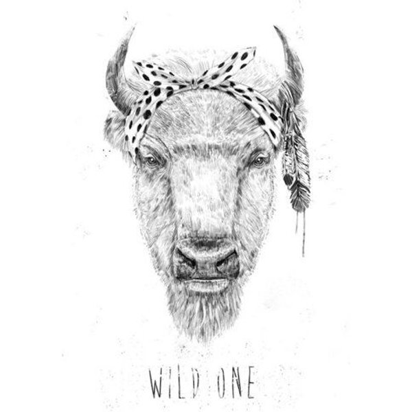 Photocircle Poster / Leinwandbild - Wild one