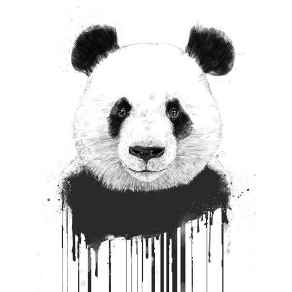 Photocircle Poster / Leinwandbild - Graffiti panda