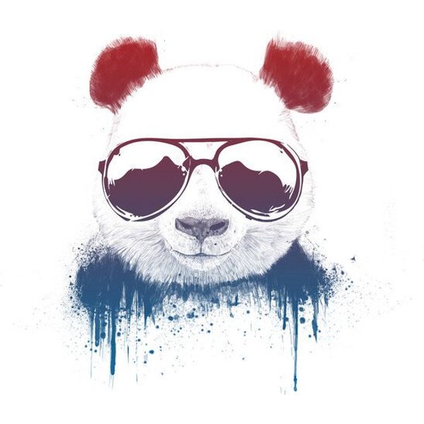 Photocircle Poster / Leinwandbild - Stay Cool II