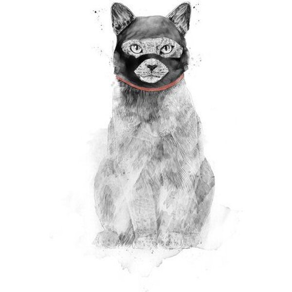 Photocircle Poster / Leinwandbild - Masked cat