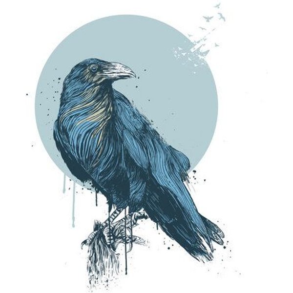Photocircle Poster / Leinwandbild - Blue crow