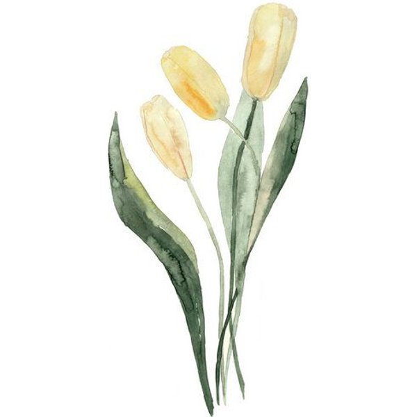 Photocircle Poster / Leinwandbild - Gelbe Tulpen