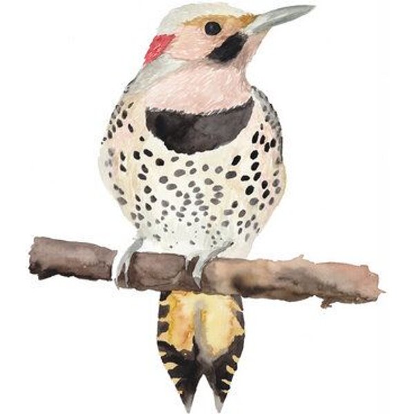 Photocircle Poster / Leinwandbild - Skandi Vogel