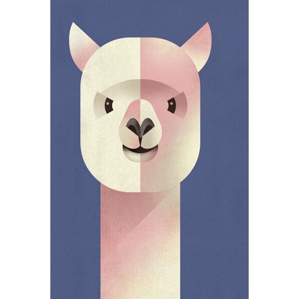 Photocircle Poster / Leinwandbild - Alpaka