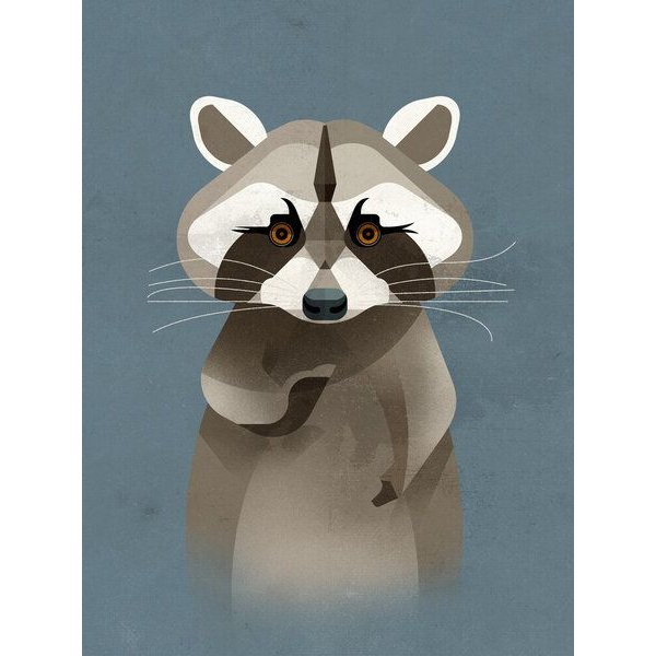 Photocircle Poster / Leinwandbild - Waschbär