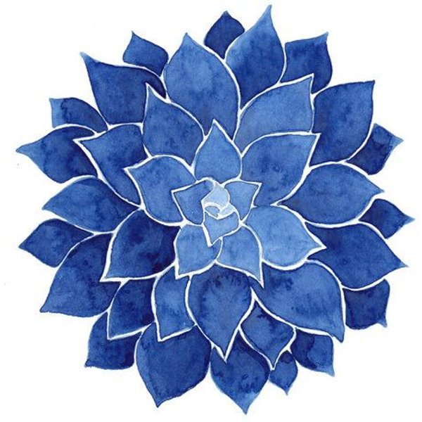 Photocircle Poster / Leinwandbild - Indigo Succulent