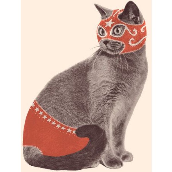 Photocircle Poster / Leinwandbild - Chat Catcheur