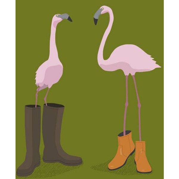Photocircle Poster / Leinwandbild - Fashion Flamingos